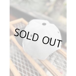 画像7: FUCKIN' MELLOW CLOTHING x PICTURE MOUSE / スナップバックキャップ グレー/グリーン