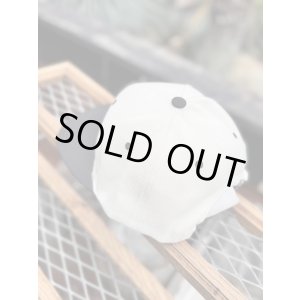 画像8: FUCKIN' MELLOW CLOTHING x PICTURE MOUSE / スナップバックキャップ カーキ/ブラック