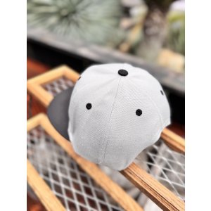 画像8: FUCKIN' MELLOW / RESPECT Artwork by WACKY  スナップバックキャップ グレー/ブラック