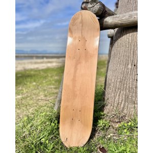 画像12: 送料無料 ラスト1枚でSOLDOUT NOFX / Pump Up The Valuum 25th Anniv スケートボードデッキ