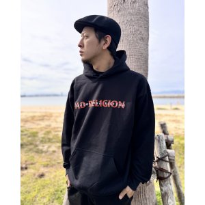 画像5: 送料無料 BAD RELIGION / Stranger Than Fiction プルオーバーパーカー BLACK