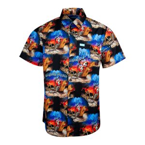 画像4: カリフォルニア買付アイテム 送料無料 SLIGHTLY STOOPID x DIXXON FLANNEL CO / Closer to the sun コラボ半袖シャツ