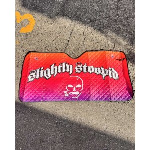 画像1: 送料無料 限定4枚のみの入荷 SLIGHTLY STOOPID / Stoopid サンシェード