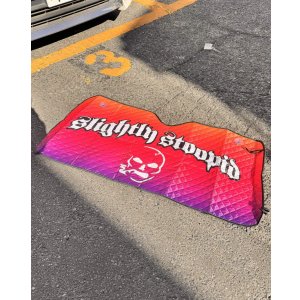 画像4: 送料無料 限定4枚のみの入荷 SLIGHTLY STOOPID / Stoopid サンシェード