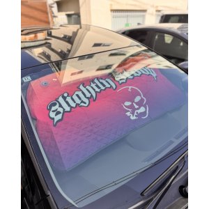 画像3: 送料無料 限定4枚のみの入荷 SLIGHTLY STOOPID / Stoopid サンシェード