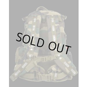 画像17: 送料無料 DIXXON FLANNEL CO / Camo Tactical Backpack 2.0 バックパック