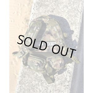 画像13: 送料無料 DIXXON FLANNEL CO / Camo Tactical Backpack 2.0 バックパック