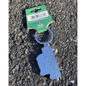 画像3: GREENDAY / Band Logo キーチェーン