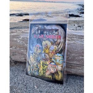 画像1: IRON MAIDEN / EARLY ALBUMS ピンバッジセット 5個入り