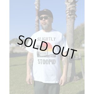 画像3: 1週間延長9月7日終了 1100円OFF 送料無料 Mサイズラスト1枚で終了 SLIGHTLY STOOPID / Ocean Beach Gate Tシャツ ホワイト
