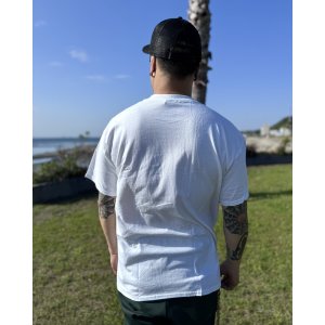 画像6: 送料無料 SLIGHTLY STOOPID / Ocean Beach Gate Tシャツ ホワイト