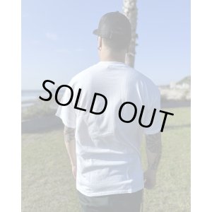 画像6: 1週間延長9月7日終了 1100円OFF 送料無料 Mサイズラスト1枚で終了 SLIGHTLY STOOPID / Ocean Beach Gate Tシャツ ホワイト