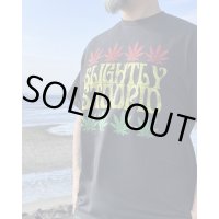 送料無料 Lサイズラスト1枚で終了 SLIGHTLY STOOPID / Rasta Leaf Tシャツ ブラック