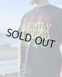 送料無料 Lサイズラスト1枚で終了 SLIGHTLY STOOPID / Rasta Leaf Tシャツ ブラック