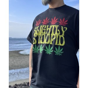 画像4: 送料無料 SLIGHTLY STOOPID / Rasta Leaf Tシャツ ブラック
