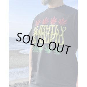 画像1: 送料無料 Lサイズラスト1枚で終了 SLIGHTLY STOOPID / Rasta Leaf Tシャツ ブラック