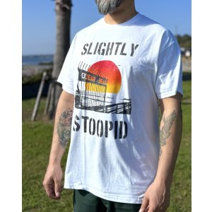画像4: 送料無料 SLIGHTLY STOOPID / Ocean Beach Gate Tシャツ ホワイト
