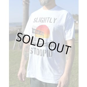 画像1: 1週間延長9月7日終了 1100円OFF 送料無料 Mサイズラスト1枚で終了 SLIGHTLY STOOPID / Ocean Beach Gate Tシャツ ホワイト