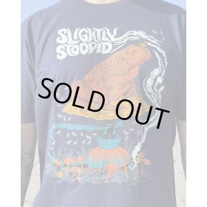 画像3: XLラスト1枚で終了 SLIGHTLY STOOPID / Smoking Toad Tシャツ ネイビー