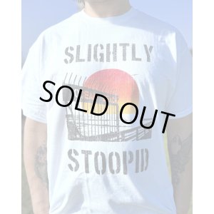 画像4: 1週間延長9月7日終了 1100円OFF 送料無料 Mサイズラスト1枚で終了 SLIGHTLY STOOPID / Ocean Beach Gate Tシャツ ホワイト