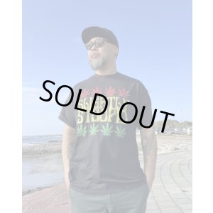画像2: 送料無料 Lサイズラスト1枚で終了 SLIGHTLY STOOPID / Rasta Leaf Tシャツ ブラック
