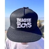 BEASTIE BOYS / Check Your Head スナップバックキャップ