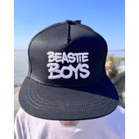 BEASTIE BOYS / Check Your Head スナップバックキャップ