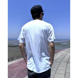 画像5: SOCIAL DISTORTION  / Speakeasy Checkerboard Tシャツ ホワイト