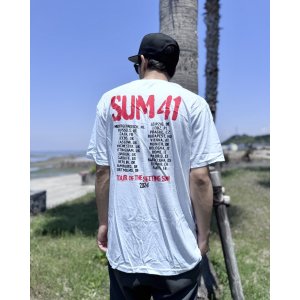 画像5: 送料無料 SUM 41 / Spray Paint Tシャツ ホワイト