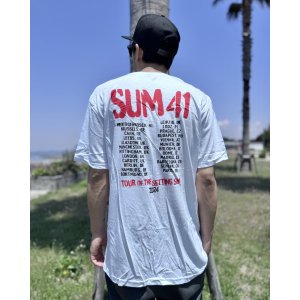 画像6: 送料無料 SUM 41 / Spray Paint Tシャツ ホワイト