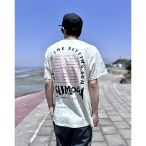 画像4: 送料無料 SUM 41 / Pink Skull Tシャツ ナチュラル
