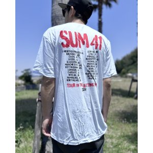 画像8: 送料無料 SUM 41 / Spray Paint Tシャツ ホワイト