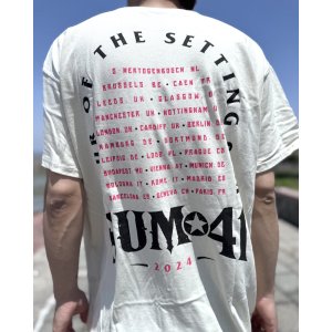 画像5: 送料無料 SUM 41 / Pink Skull Tシャツ ナチュラル
