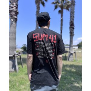 画像4: 送料無料 SUM 41 / Fuck Sum 41 Tシャツ ブラック