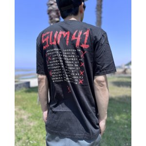 画像5: 送料無料 SUM 41 / Fuck Sum 41 Tシャツ ブラック