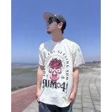 送料無料 SUM 41 / Pink Skull Tシャツ ナチュラル
