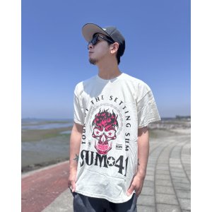 画像1: 送料無料 SUM 41 / Pink Skull Tシャツ ナチュラル