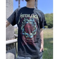 送料無料 METALLICA / Ruin / Struggle Tシャツ ブラック