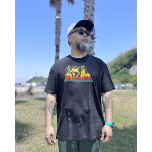 画像3: カリフォルニア買付アイテム BAD BRAINS / Lion Crush Tシャツ ブラック