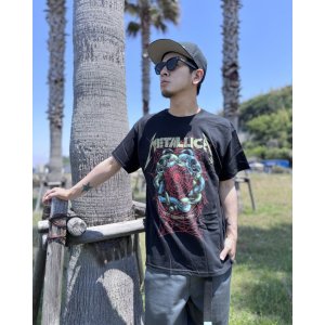 画像1: 送料無料 METALLICA / Ruin / Struggle Tシャツ ブラック