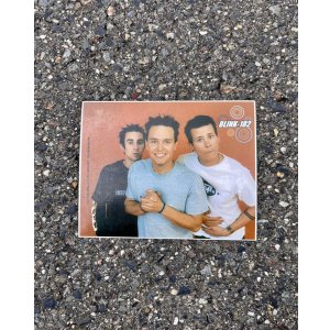画像2: BLINK182 / Group Photo ステッカー (Copyright 2000)