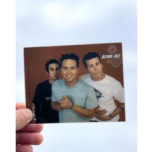 画像1: BLINK182 / Group Photo ステッカー (Copyright 2000)