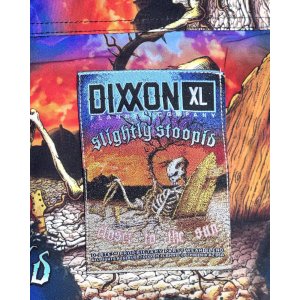 画像6: カリフォルニア買付アイテム 送料無料 SLIGHTLY STOOPID x DIXXON FLANNEL CO / Closer to the sun コラボ半袖シャツ