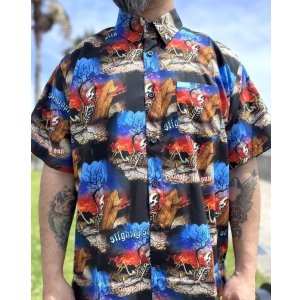 画像14: カリフォルニア買付アイテム 送料無料 SLIGHTLY STOOPID x DIXXON FLANNEL CO / Closer to the sun コラボ半袖シャツ