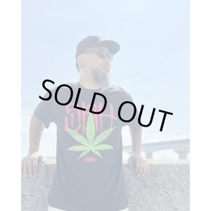 画像2: オーピーさん直買付アイテム 送料無料 限定XL1枚のみ SRH / Feaf Tシャツ ブラック