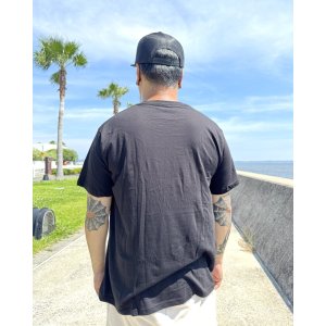 画像7: カリフォルニア買付アイテム 送料無料 SUBLIME / Sublime Sun Logo & Plants Tシャツ ブラック