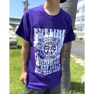 画像5: カリフォルニア買付アイテム 送料無料 Lサイズ1枚のみの入荷 SUBLIME / Summertime Tシャツ