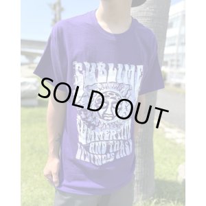 画像5: カリフォルニア買付アイテム 送料無料 Lサイズ1枚のみの入荷 SUBLIME / Summertime Tシャツ