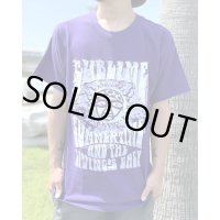 カリフォルニア買付アイテム 送料無料 Lサイズ1枚のみの入荷 SUBLIME / Summertime Tシャツ