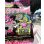 画像3: 限定生産 日本未発売 NOFX x ROTTEN / Sour Gummie Cruncheez Special Colloaboration サワーグミ (3)